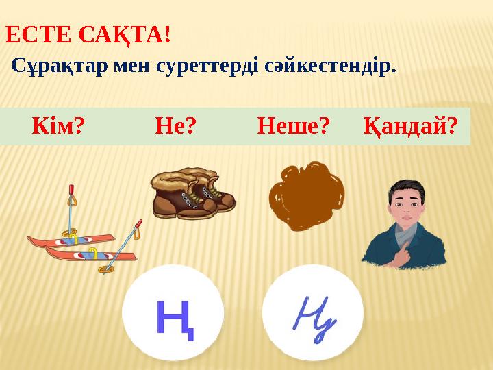 ЕСТЕ САҚТА! Сұрақтар мен суреттерді сәйкестендір. Кім? Не? Неше? Қандай?