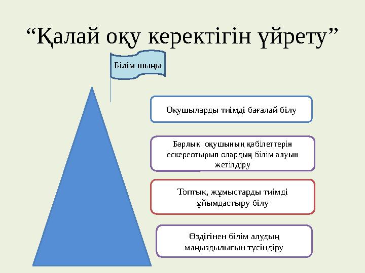 “ Қалай оқу керектігін үйрету” Оқушыларды тиімді бағалай білу Барлық оқушының қабілеттерін ескереотырып олардың білім алуын ж