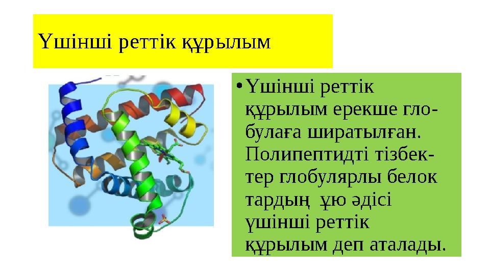 Үшінші реттік құрылым • Үшінші реттік құрылым ерекше гло- булаға ширатылған. Полипептидті тізбек- тер глобулярлы белок тар