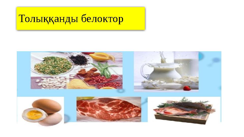 Толыққанды белоктор