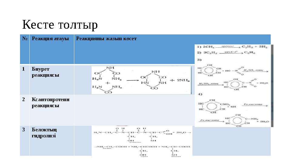 Кесте толтыр № Реакция атауы Реакцияны жазып көсет 1 Биурет реакциясы 2 Ксантопротеин реакциясы 3 Белоктың гидролизі