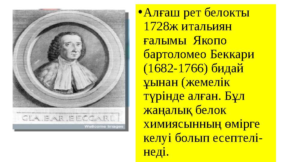 • Алғаш рет белокты 1728ж итальиян ғалымы Якопо бартоломео Беккари ( 1682-1766) б идай ұынан (жемелік түрінде алған. Бұл
