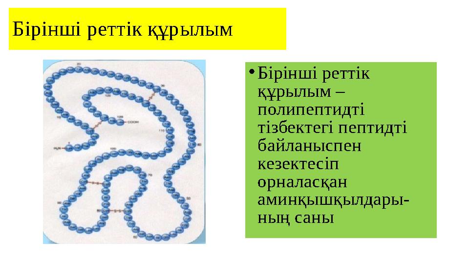 Бірінші реттік құрылым • Бірінші реттік құрылым – полипептидті тізбектегі пептидті байланыспен кезектесіп орналасқан аминқ