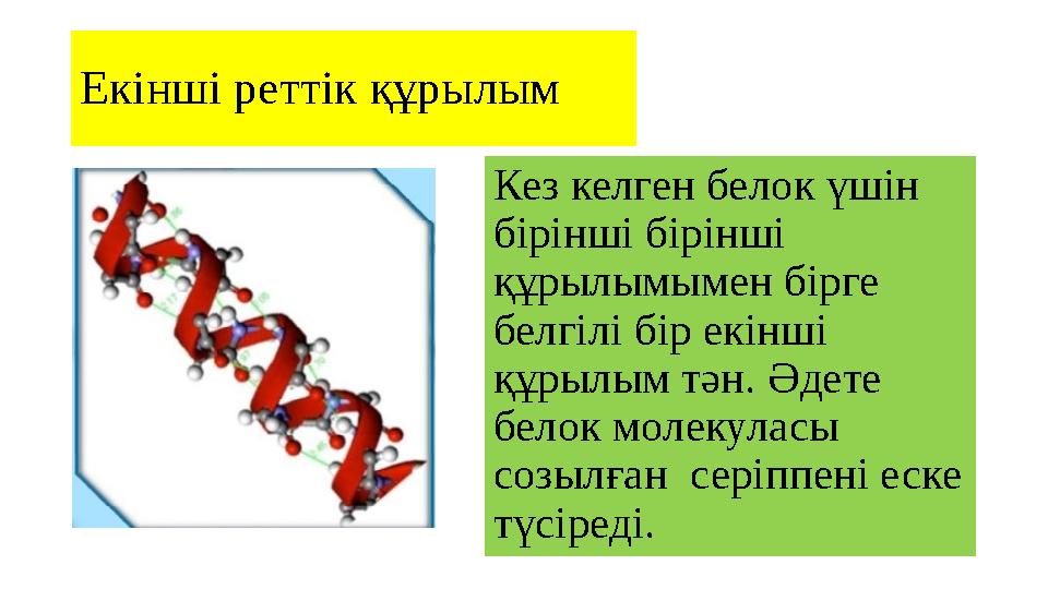 Екінші реттік құрылым Кез келген белок үшін бірінші бірінші құрылымымен бірге белгілі бір екінші құрылым тән. Әдете белок