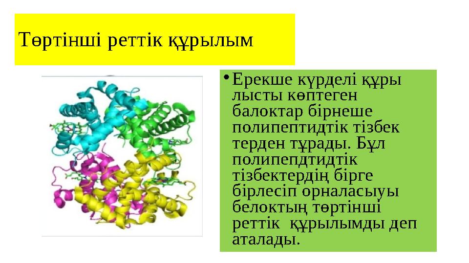 Төртінші реттік құрылым • Ерекше күрделі құры лысты көптеген балоктар бірнеше полипептидтік тізбек терден тұрады. Бұл поли