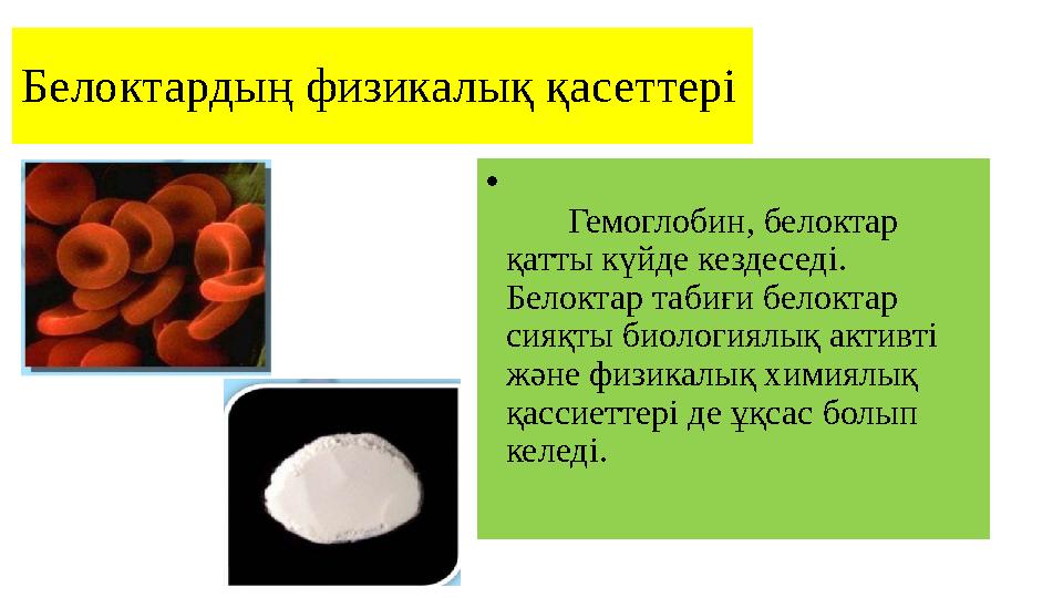 Белоктардың физикалық қасеттері • Гемоглобин, белоктар қатты күй