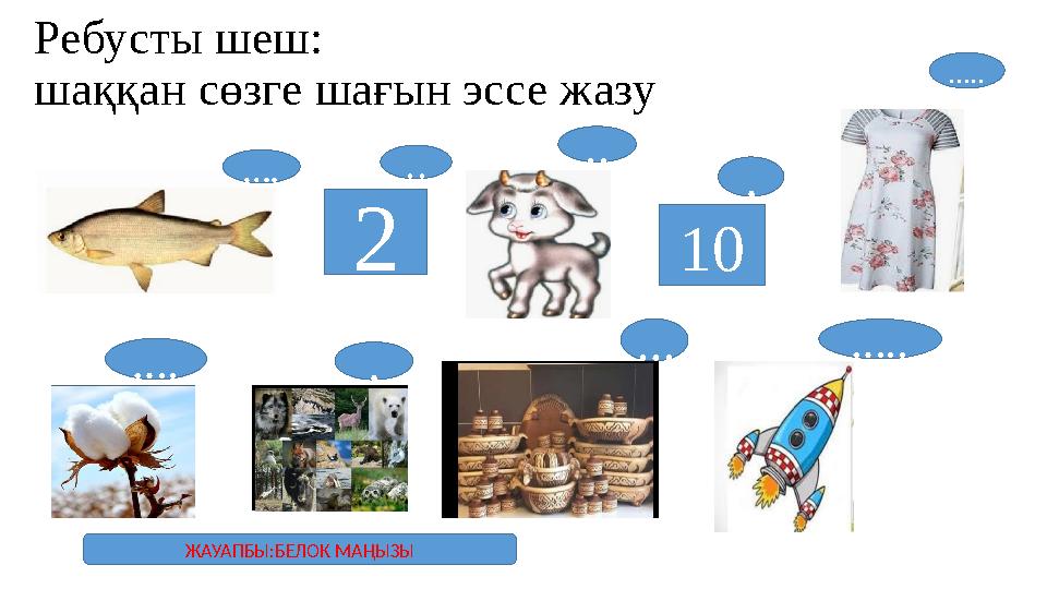 Ребусты шеш: шаққан сөзге шағын эссе жазу 2 10… . .. .. . … .. … . . … … .. ЖАУАПБЫ:БЕЛОК МА ҢЫЗЫ