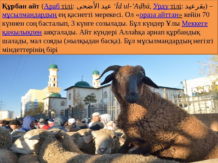 Құрбан айт ( Араб тілі : ىحضلأا ديع ‘ Īd ul-’Aḍḥā , Урду тілі : دیعرقب ) – мұсылмандардың ең қасиетті мерекесі. Ол «