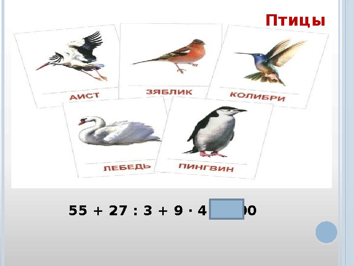 55 + 27 : 3 + 9 · 4 = 100 Птицы