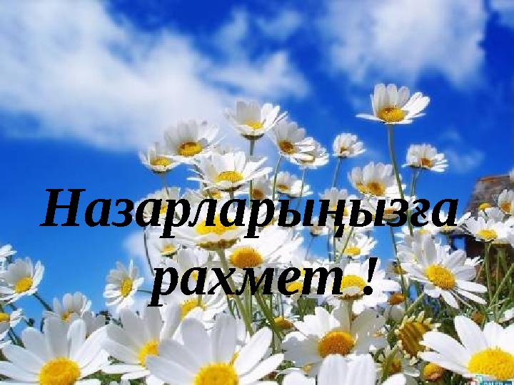 Назарларыңыз ға рахмет !