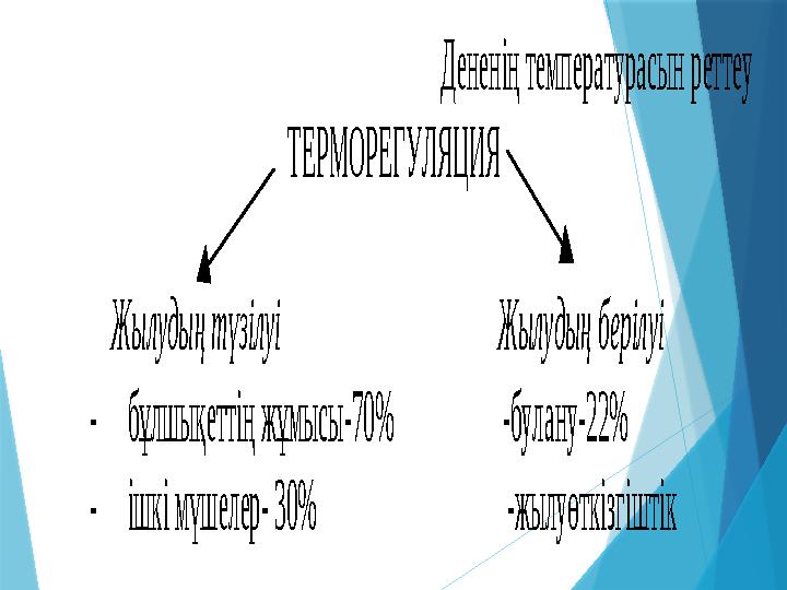 Дененің температурасын реттеу ТЕРМОРЕГУЛЯЦИЯ Жылудың түзілуі Ж