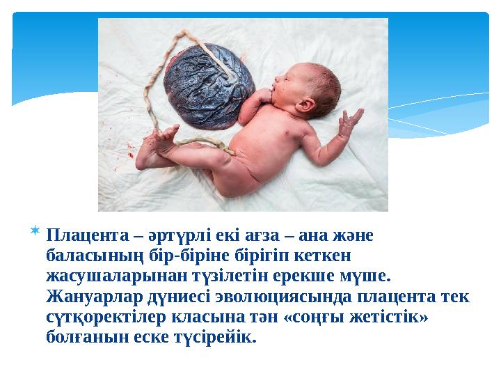  Плацента – әртүрлі екі ағза – ана және баласының бір - біріне бірігіп кеткен жасушаларынан түзілетін ерекше мүше. Жануа