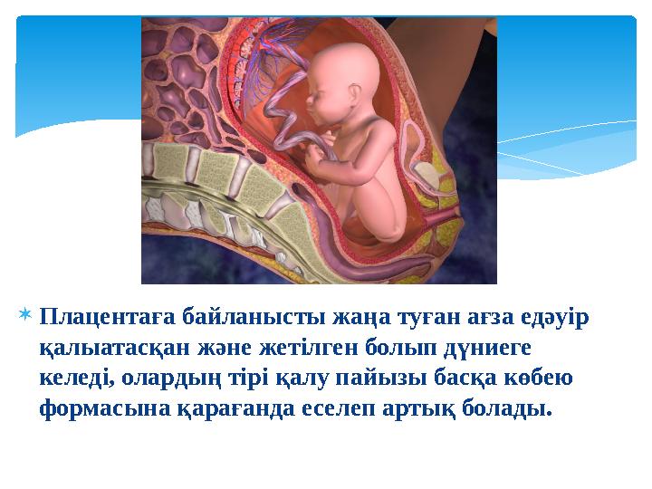  Плацентаға байланысты жаңа туған ағза едәуір қалыатасқан және жетілген болып дүниеге келеді, олардың тірі қалу пайызы басқа