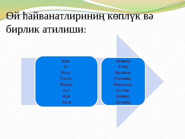 Өй һайванатлириниң көплүк вә бирлик атилиши : Кала Ат Өшкә Чошқа Мөшүк Ишт Қой Ешәк Калилар Атлар Өшкиләр Чошқилар
