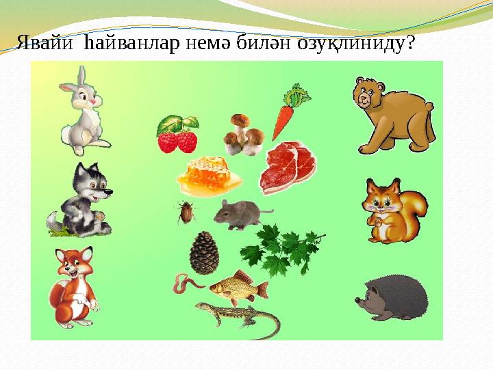 Явайи һайванлар немә билән озуқлиниду?