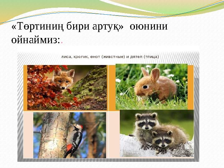 «Төртиниң бири артуқ» оюнини ойнаймиз: .
