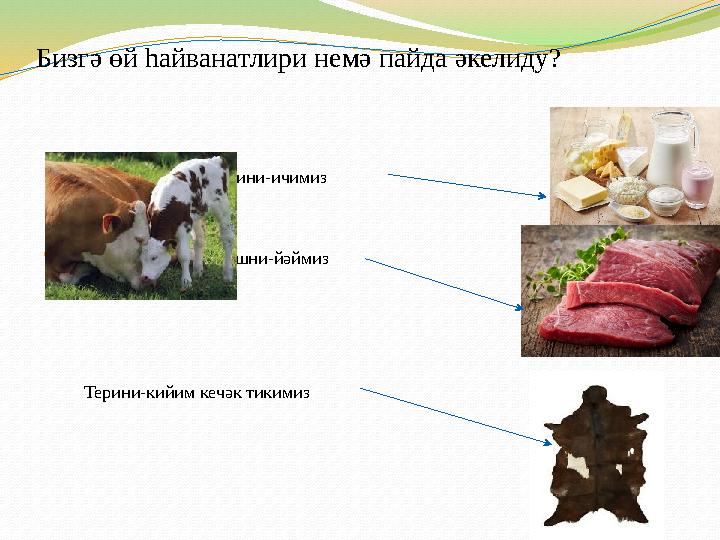 Бизгә өй һайванатлири немә пайда әкелиду? Сүтини-ичимиз 