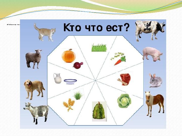 Ой һайванатлири: Ким нимә йәйду?