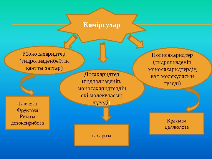 Көмірсулар Моносахаридтер (гидролизденбейтін қантты заттар) Дисахаридтер (гидролизденіп, моносахаридтердің екі молекуласын т