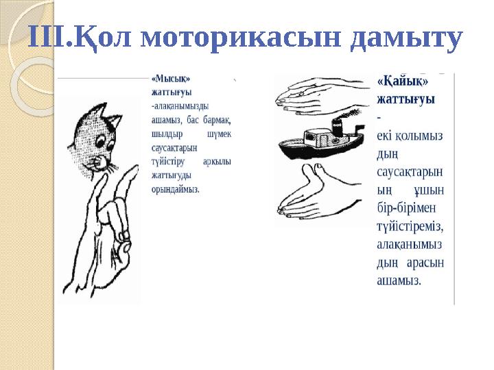 III . Қол моторикасын дамыту