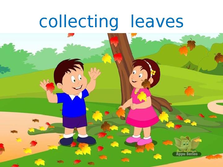 collecting leaves