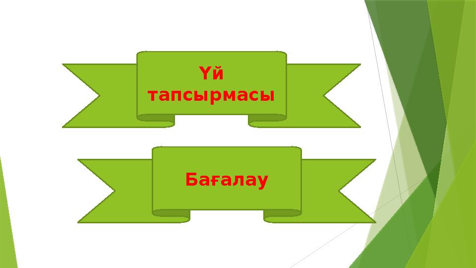 Үй тапсырмасы Бағалау