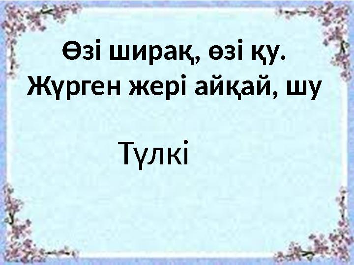 Өзі ширақ, өзі қу. Жүрген жері айқай, шу Түлкі