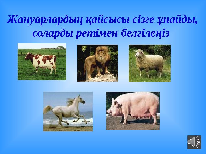 Жануарлардың қайсысы сізге ұнайды, соларды ретімен белгілеңіз