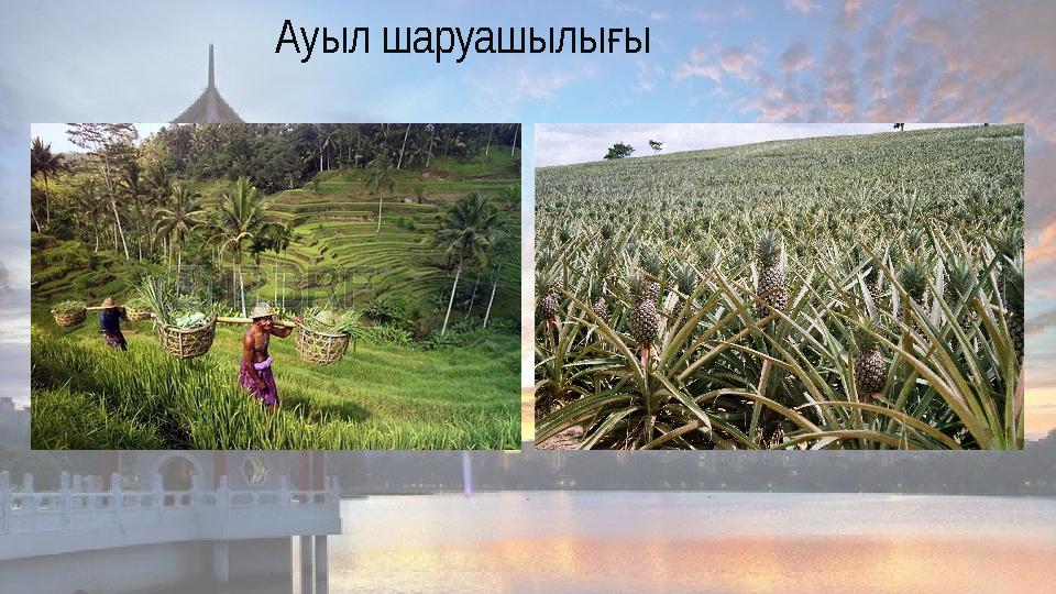 Ауыл шаруашылы ығ