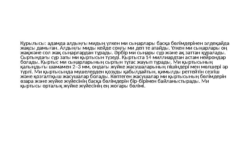 Құрылысы: адамда алдыңғы мидың үлкен ми сыңарлары басқа бөлімдерінен әлдеқайда жақсы дамыған. Алдыңғы миды кейде