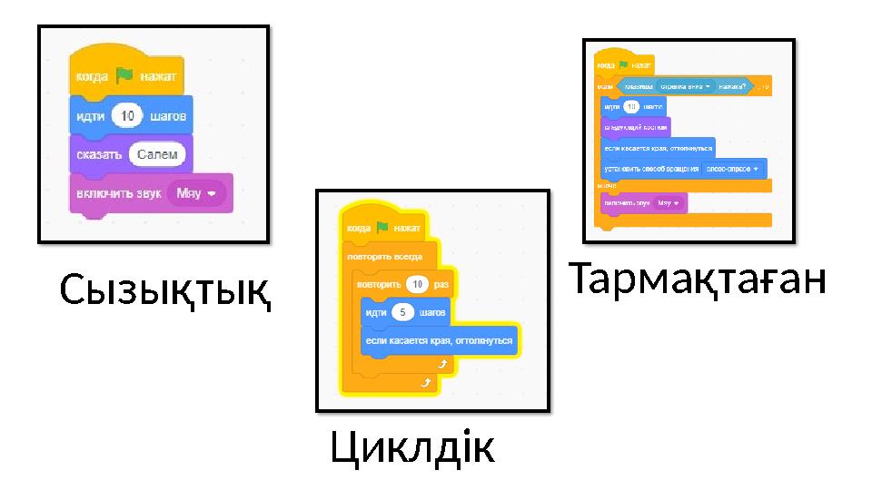 Тармақтаған ЦиклдікСызы қтық