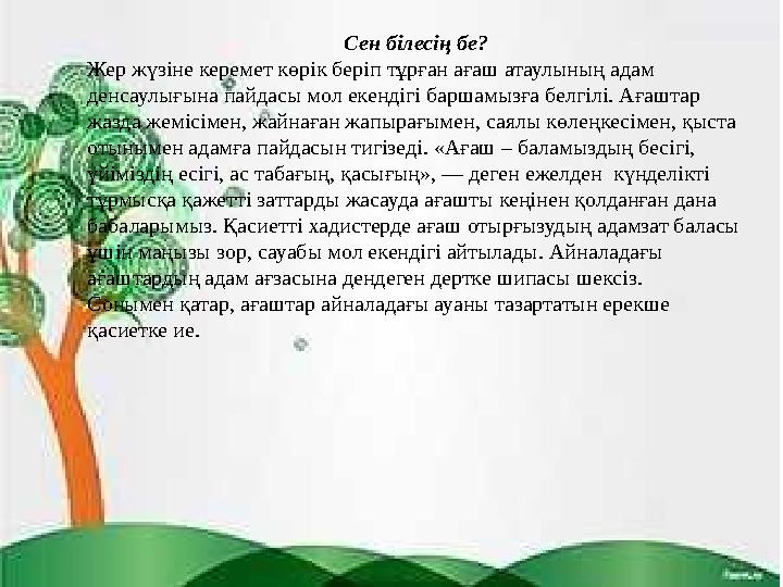 Сен білесің бе? Жер жүзіне керемет көрік беріп тұрған ағаш атаулының адам денсаулығына пайдасы мол екендігі баршамызға белгілі.