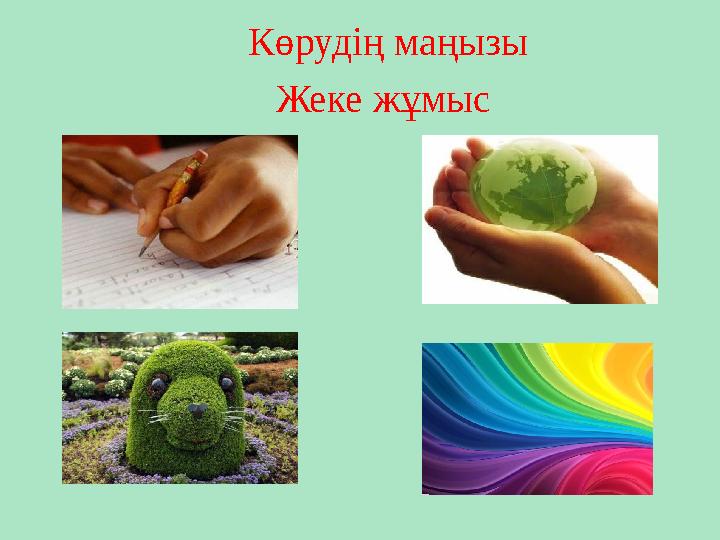 Көрудің маңызы Жеке жұмыс
