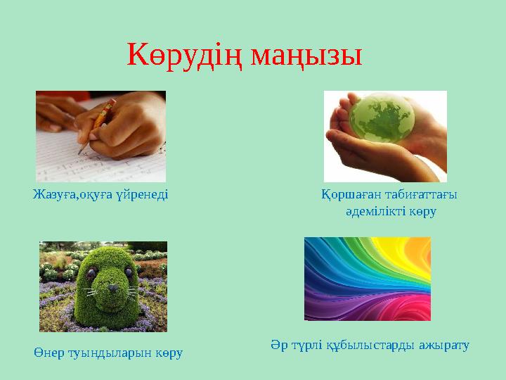 Көрудің маңызы Жазуға,оқуға үйренеді Қоршаған табиғаттағы әдемілікті көру Өнер туындыларын көру Әр түрлі құбылыстарды ажырату