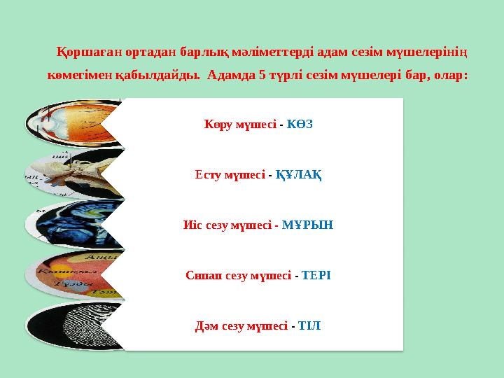 Қоршаған ортадан барлық мәліметтерді адам сезім мүшелерінің көмегімен қабылдайды. Адамда 5 түрлі сезім мүшелері бар, олар: К