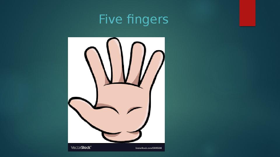 Five fingers