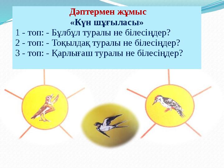 Дәптермен жұмыс «Күн шұғыласы» 1 - топ: - Бұлбұл туралы не білесіңдер? 2 - топ: - Тоқылдақ туралы не білесіңдер? 3 - топ: - Қа