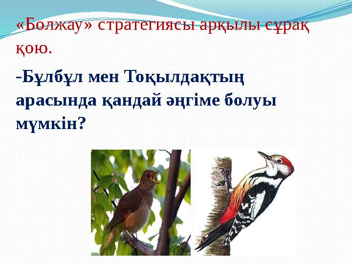 «Болжау» стратегиясы арқылы сұрақ қою. -Бұлбұл мен Тоқылдақтың арасында қандай әңгіме болуы мүмкін?