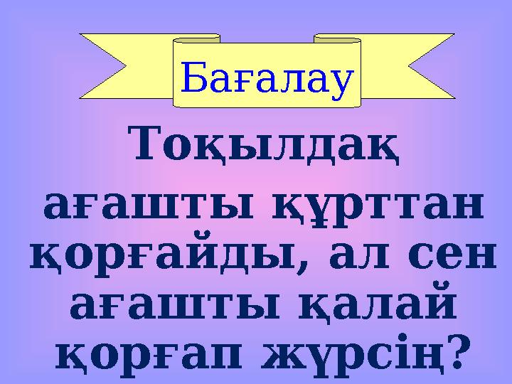 Тоқылдақ ағашты құрттан қорғайды, ал сен ағашты қалай қорғап жүрсің? БағалауБағалау