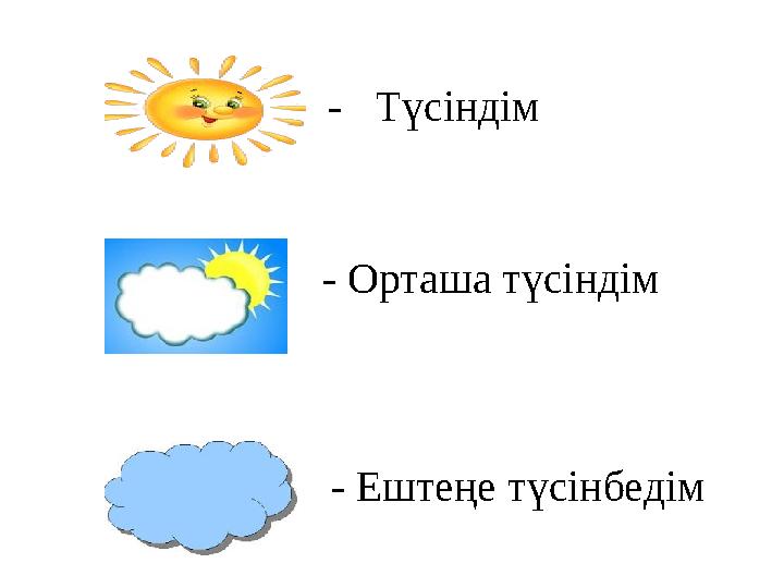 - Түсіндім - Орташа түсіндім - Ештеңе түсінбедім