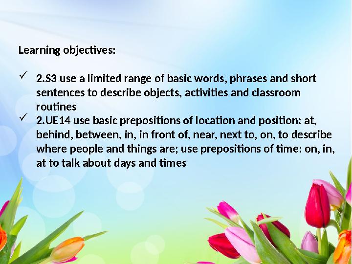 Learning objectives:  2.S3 use a limited range of basic words, phrases and short sentences to describe objects, activities and
