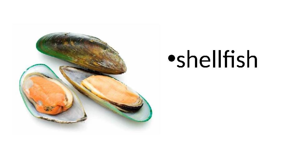 • shellfish