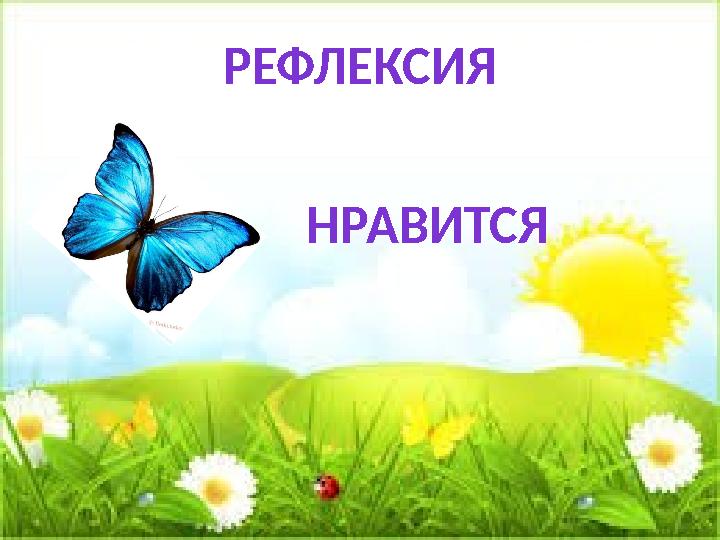 РЕФЛЕКСИЯ НРАВИТСЯ