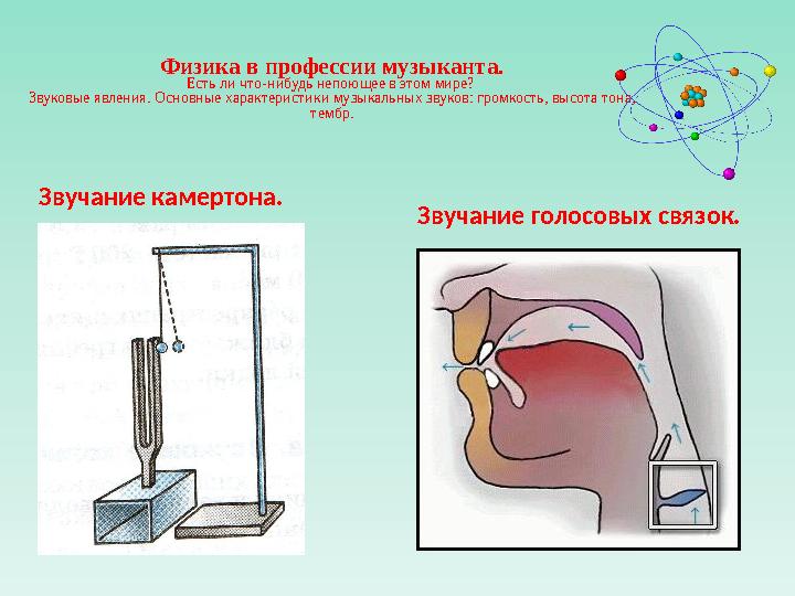 Физика в профессии музыканта. Есть ли что-нибудь непоющее в этом мире? Звуковые явления. Основные характеристики музыкальных зв