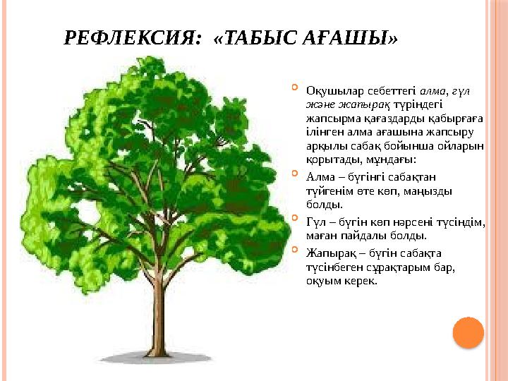 РЕФЛЕКСИЯ: «ТАБЫС АҒАШЫ»  Оқушылар себеттегі алма, гүл және жапырақ түріндегі жапсырма қағаздарды қабырғаға ілінген алма
