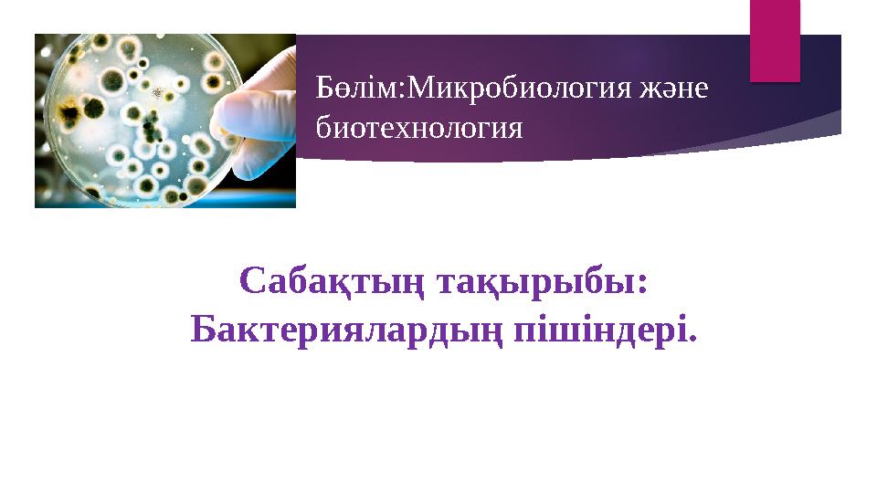 Бөлім:Микробиология және биотехнология Сабақтың тақырыбы: Бактериялардың пішіндері.
