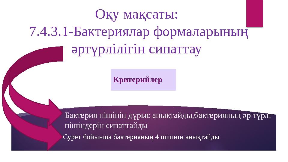 Сурет бойынша бактерияның 4 пішінін анықтайды Оқу мақсаты: 7.4.3.1-Бактериялар формаларының әртүрлілігін сипаттау Бакте