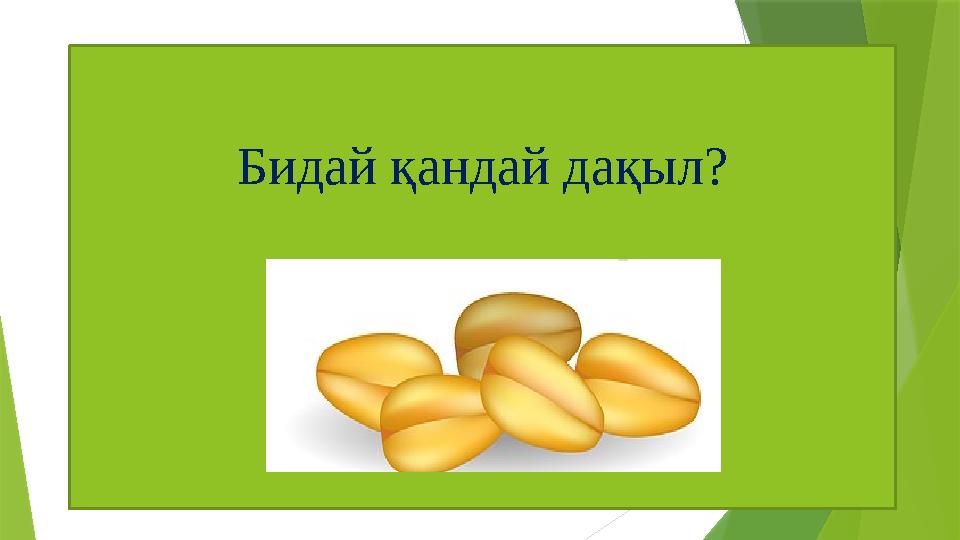 Бидай қандай дақыл?