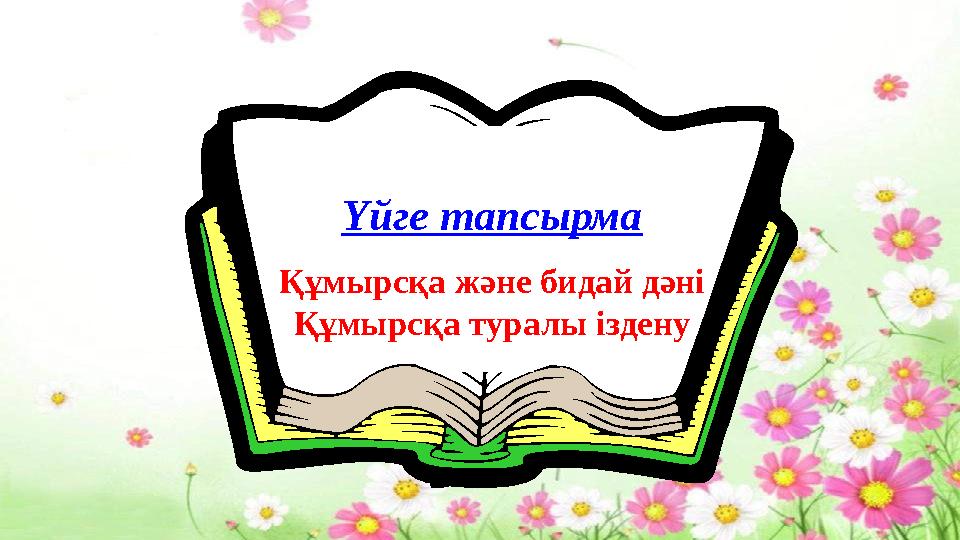 Үйге тапсырма Құмырсқа және бидай дәні Құмырсқа туралы іздену