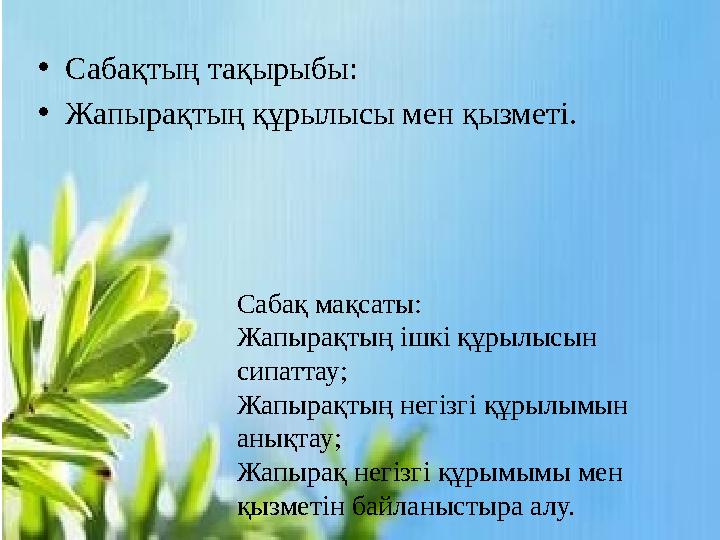 • Сабақтың тақырыбы: • Жапырақтың құрылысы мен қызметі. Сабақ мақсаты: Жапырақтың ішкі құрылысын сипаттау; Жапырақтың негізгі